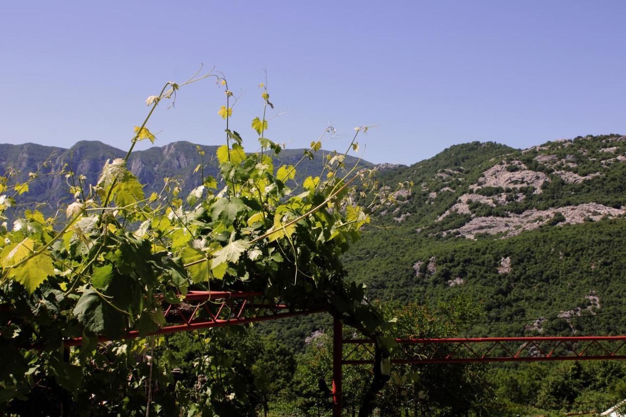 Holiday Home Gazevic Virpazar Exterior photo